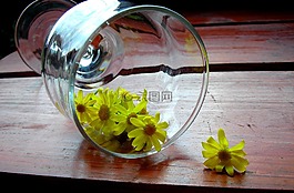 玻璃,木桌,洋甘菊