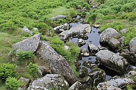 過獨(dú)身生活,石頭,草地