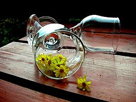 酒杯,洋甘菊,黃色的花朵