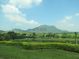 葡萄園,旅行,農(nóng)業(yè)