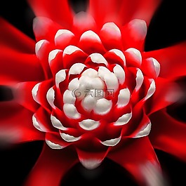 鳳梨,火輪,廠