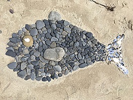 魚,巖,海灘