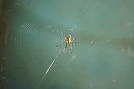 性質(zhì),在中,的