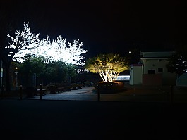 夜景,背景,戶外
