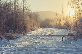 路,雪,冬天