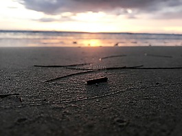 普吉島大海,沙灘,枯枝