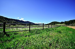 籬笆,天空,牧場