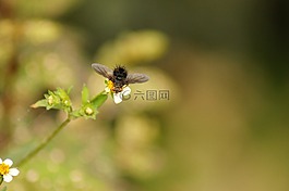 性質,在中,的