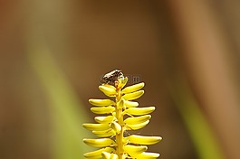 性質(zhì),在中,的
