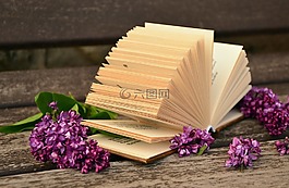 書頁,本書,老