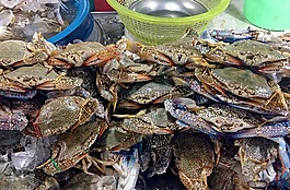 釣魚,船,顏色