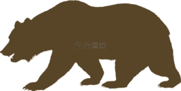 熊,动物,棕色