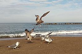 海,海灘,天空