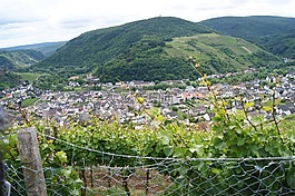 dernau,ahr 谷,葡萄酒