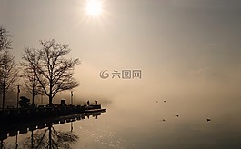 雾,太阳,景观