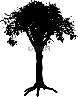 側(cè)影,樹(shù),樹(shù)干