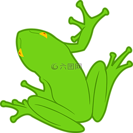 動物,兩棲類,青蛙