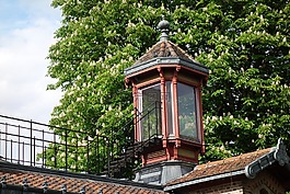 观测塔,屋顶,植物园