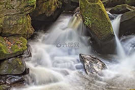 水,自然,夏天
