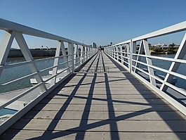 橋,對稱性,體系結(jié)構(gòu)