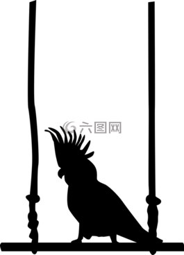 鸚鵡,鳥,秋千