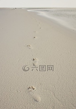 腳印,沙,腳