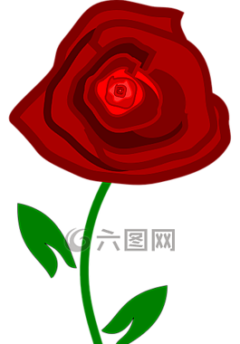 花,玫瑰,紅色