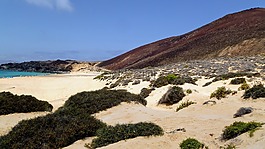 海,性質(zhì),巖石