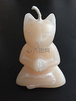 貓,冥想,動物