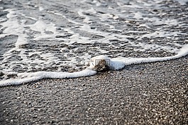 波,海灘,石
