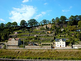 elbufer,撒克逊瑞士,石头和酒