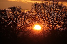 日出,太陽,天空