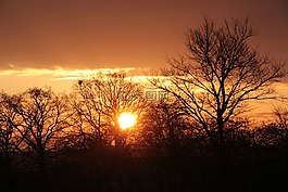 日出,太陽,天空