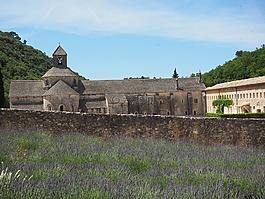 修道院sénanque,修道院,阿比