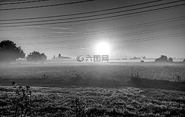 日出,太陽,霧