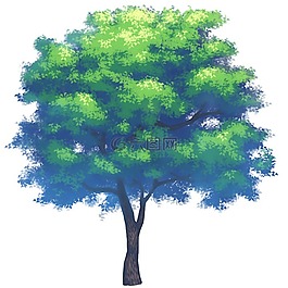 植物,樹(shù),植樹(shù)