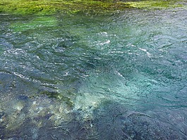 水,過獨(dú)身生活,明確