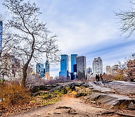 中央公園,紐約,wiinter