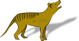袋狼,动物,澳大利亚