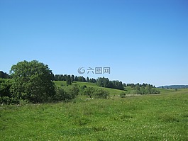 景觀,草地,徒步旅行
