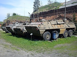 軍事,車輛,堡