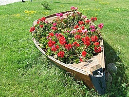 花壇,鮮花,老船