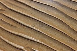 砂,海,海灘