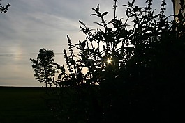 日落,側(cè)影,天空