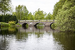 石橋,水,森林