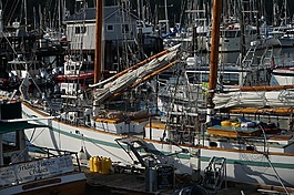 船,海港,水