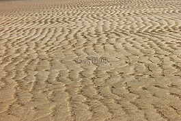 砂,海,海灘