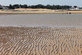 砂,海,海灘