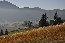 秋季,太陽,景觀