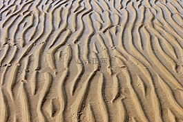 砂,海,海灘